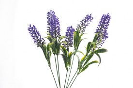 Ramo Lavanda x7 (3).jpg